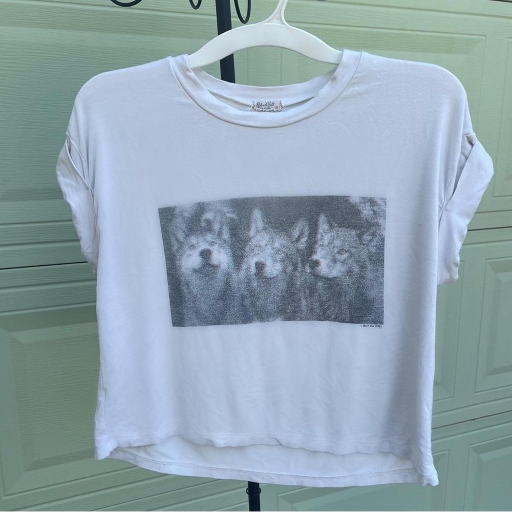 Brandy Melville Crop Top